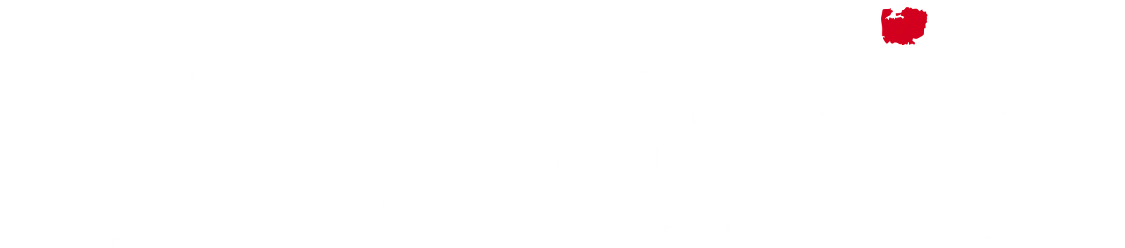 Logo Verokio